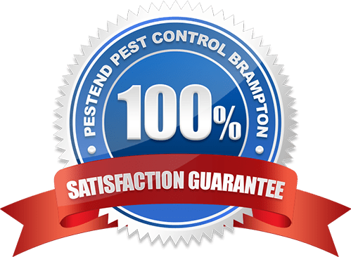 pest-control-brampton